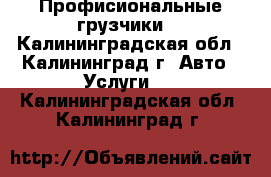 Профисиональные грузчики. - Калининградская обл., Калининград г. Авто » Услуги   . Калининградская обл.,Калининград г.